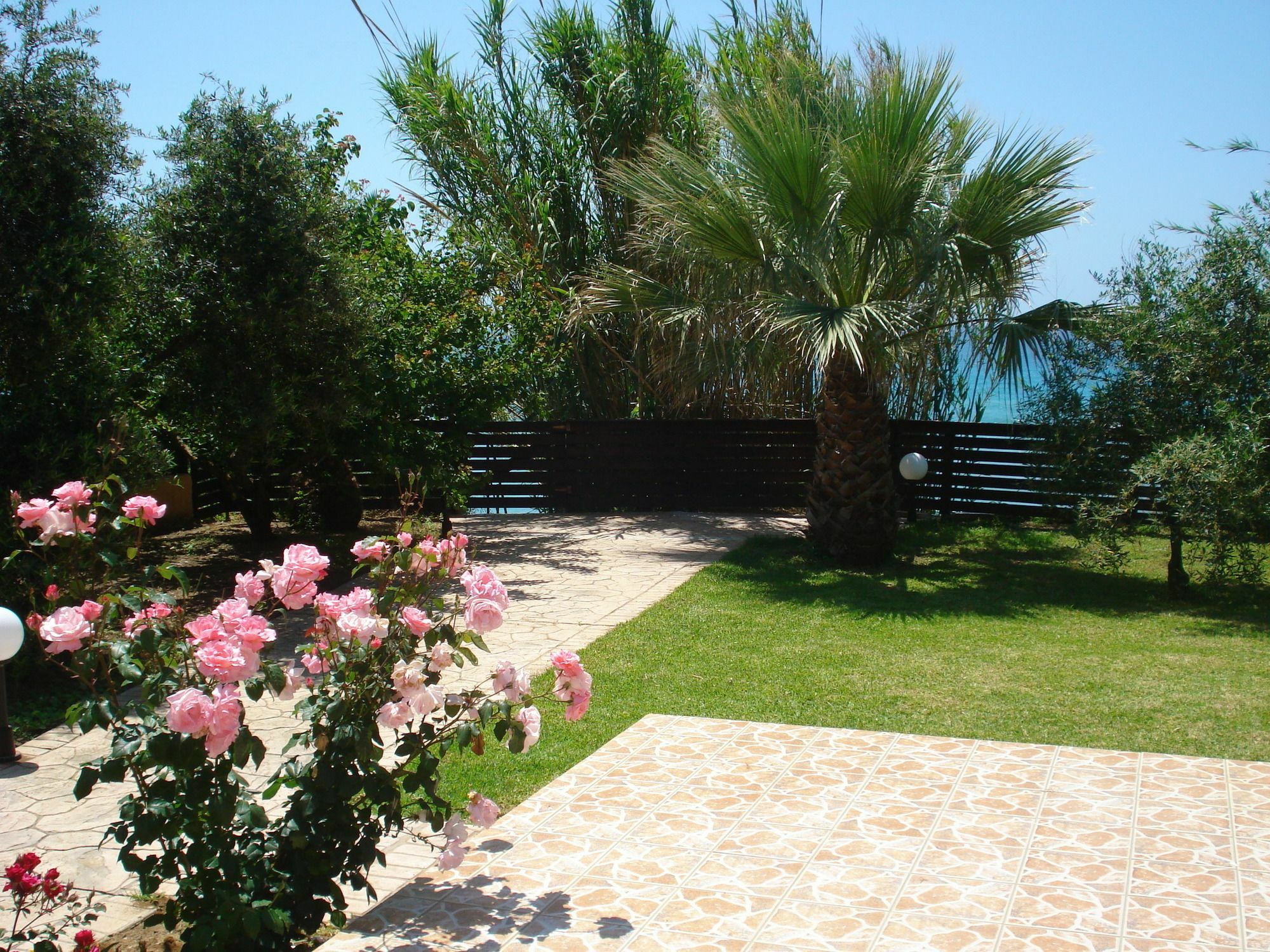 בניטסס Sofia Studios מראה חיצוני תמונה